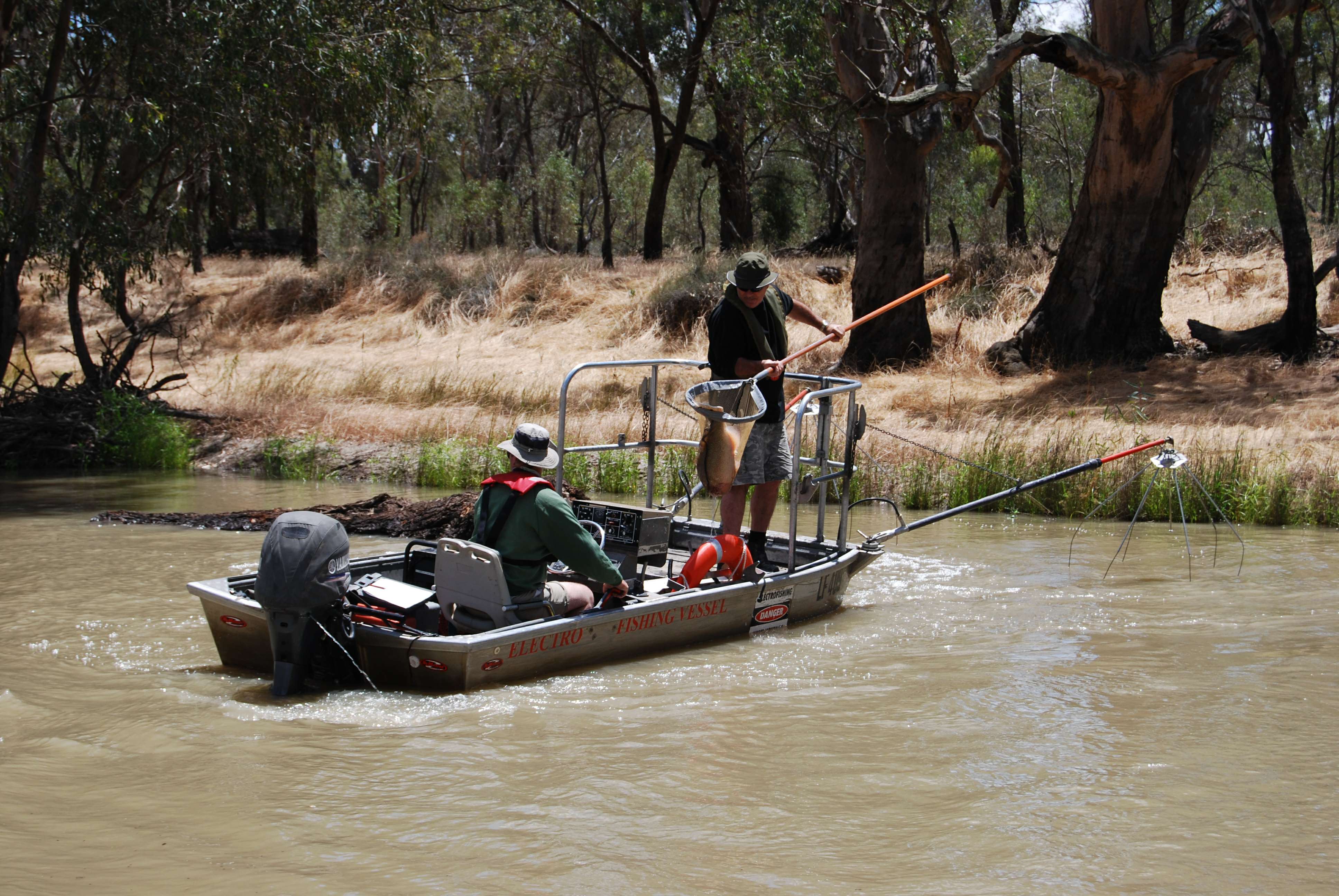 More snags to be placed in Broken Creek - GB CMA - Goulburn Broken CMA